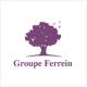 logo partenaire Groupe ferrein.png